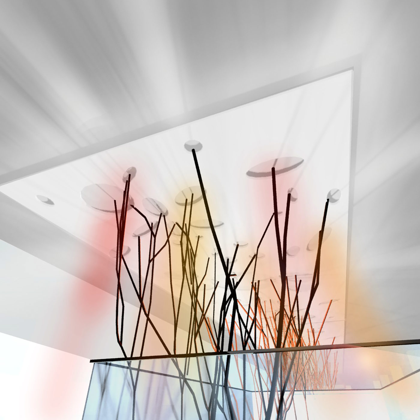 Arkady Wrocławskie, Wrocław